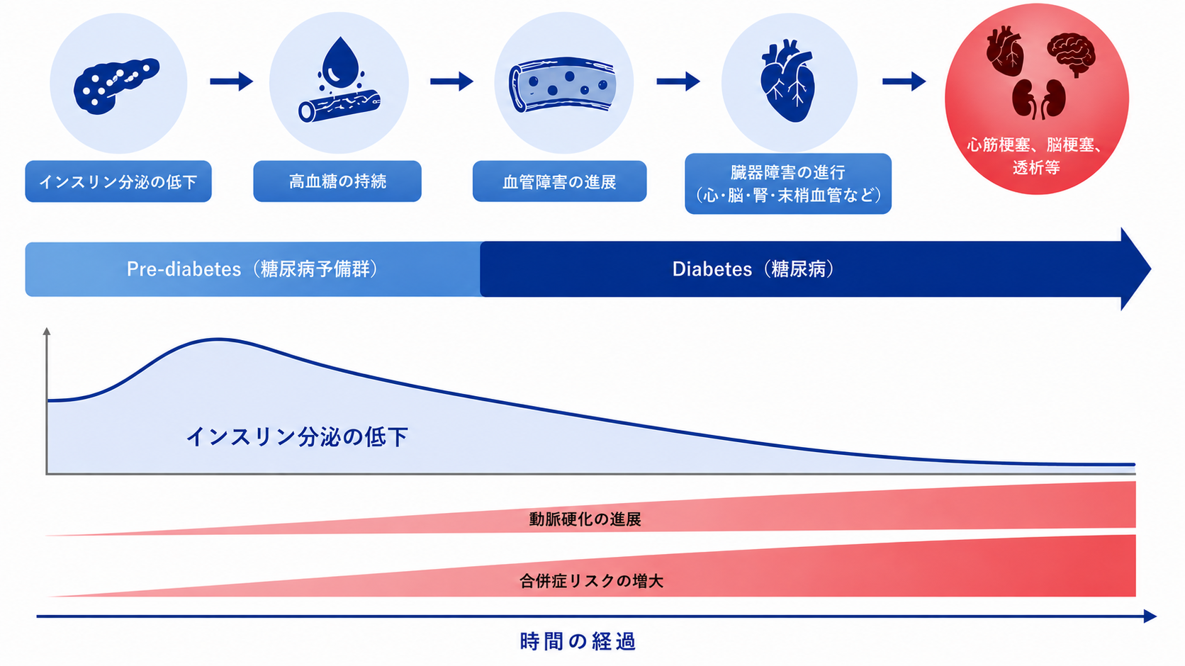 糖尿病発症前から体の変化が進んでいくことを示した図